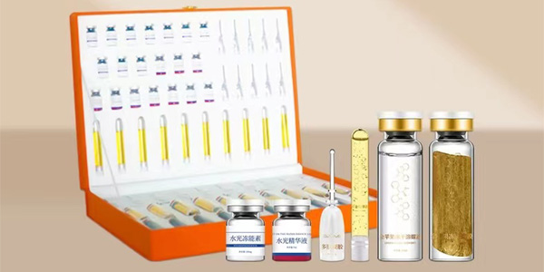 �ȸ���������